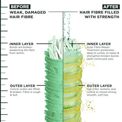 Garnier Fructis Hair Filler + Vitamin C Strength Repair Sulfate-Free Conditioner, for Weak Damaged Hair, up to 4X Less Breakage & 79% More Strength, 300ml