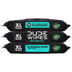 DUDE Wipes Mint Chill Flushable Wipes - Extra-Large Adult Wet Wipes - 3 Pack (144 Count) - Infused with Tea Tree Oil, Vitamin E, and Aloe - Septic and Sewer Safe