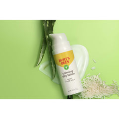 Burt's Bees Sensitive Hydrating Gentle Daily Face Cream Moisturizer Face Lotion for Sensitive Skin with Aloe and Rice Milk, 98.9% Natural Origin, Developed with Dermatologists, 51g
