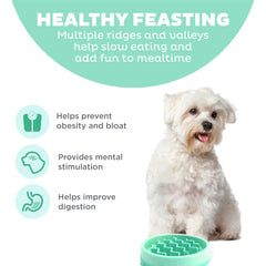 Outward Hound Fun Feeder Slo Bowl, Small Slow Feeder Dog Bowl, 3/4 Cups, Mini, Mint