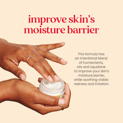 Burt's Bees Sensitive Hydrating Night Face Cream Face Moisturizer for Sensitive Skin with Aloe and Rice Milk, 98.9% Natural Origin, Developed with Dermatologists, 50g