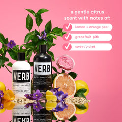 New Verb Ghost Shampoo, Vegan Color-Safe Shampoo Infused with Moringa Oil, Cleanses Fine and Weighed Down Hair (12 fl oz)