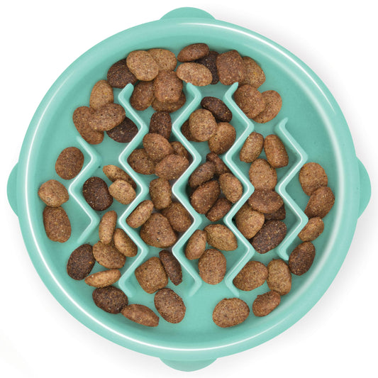 Outward Hound Fun Feeder Slo Bowl, Small Slow Feeder Dog Bowl, 3/4 Cups, Mini, Mint
