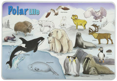 Painless Learning PLACEMATS-Polar Life-Placemat
