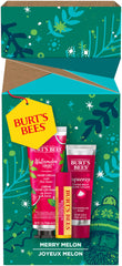 Burt's Bees Merry Melon set with Watermelon Moisturizing Lip Balm, Watermelon Rush Squeezy Tinted Balm and Watermelon and Mint Hand Cream, 3 Assorted Products