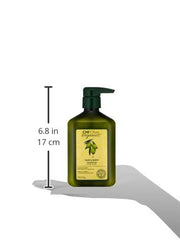 CHI Naturals with Olive Oil Hair & Body Conditioner, Protects From Moisture Loss & Preserves Hair Color, Sulfate, Paraben, & Cruelty-Free, 11.5 Oz