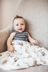 Copper Pearl Large Premium Knit Baby Swaddle Receiving Blanket"Noah", 9.6 Ounces