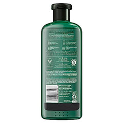 Herbal Essences bio: renew Potent Aloe + Eucalyptus Conditioner Scalp Balance, 400 Milliliters