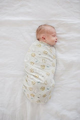 Copper Pearl Large Premium Knit Baby Swaddle Receiving Blanket"Chip", 9.6 Ounces