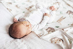 Copper Pearl Large Premium Knit Baby Swaddle Receiving Blanket"Noah", 9.6 Ounces