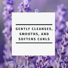 Herbal Essences Jojoba Oil & Lavender Curls Shampoo, 29.2 fl oz/865 mL, Clear,Purple,Green