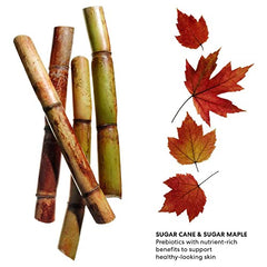 bareMinerals Poreless Oil Free Moisturizer 1.7 Oz/50 ml 0.10 pounds