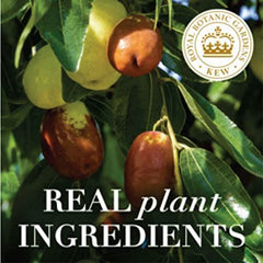 Herbal Essences Sulfate Free Jojoba Oil Shampoo, Smoothing Air Dry Shampoo for All Hair Types, 400mL