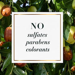 Herbal Essences Sulfate Free Jojoba Oil Shampoo, Smoothing Air Dry Shampoo for All Hair Types, 400mL