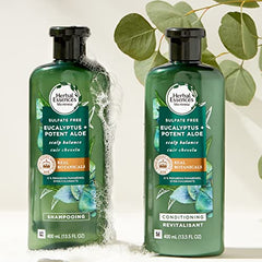 Herbal Essences bio: renew Potent Aloe + Eucalyptus Conditioner Scalp Balance, 400 Milliliters