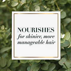 Herbal Essences bio: renew Potent Aloe + Eucalyptus Conditioner Scalp Balance, 400 Milliliters