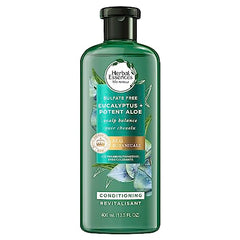 Herbal Essences bio: renew Potent Aloe + Eucalyptus Conditioner Scalp Balance, 400 Milliliters