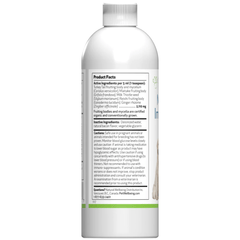 Mushroom Immune Gold - Holistic Cancer Support for Cats - Pet WellBeing