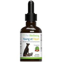 Young at Heart - for Healthy Heart Maintenance in Dogs - Pet WellBeing