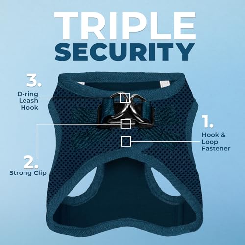 Best Pet Supplies Voyager Step-in Air Dog Harness-All Weather Mesh Step in Vest Harness for Small and Medium Dogs by Best Pet Supplies-Harness (Blue), XXX-Small