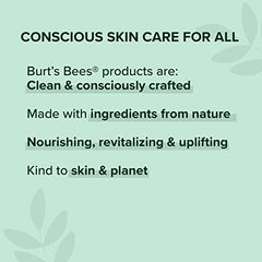 Burt’s Bees 100% Natural Lipstick, Nile Nude - 1 Tube