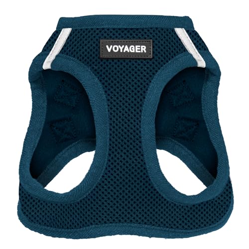 Best Pet Supplies Voyager Step-in Air Dog Harness - All Weather Mesh, Reflective, No Pull Harness for Small, Medium Dogs, Cats - Secure with Hook & Loop Fastener, Buckle, Double D-Rings - Blue, XS