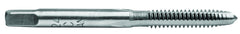 TAP-Plug Carbon Steel 10-24 National COARSE