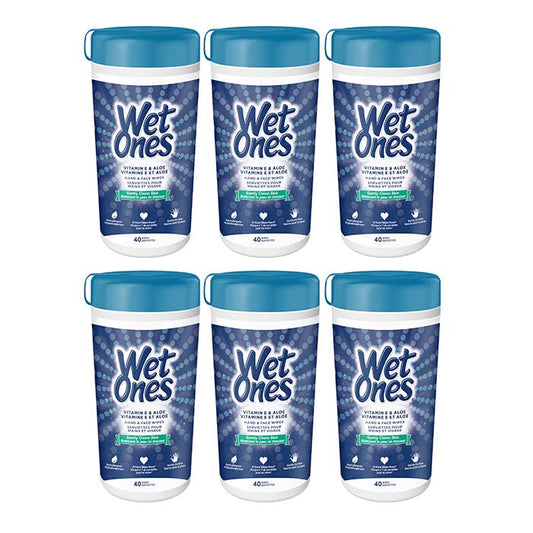 Wet Ones Hand Wipes, Aloe & E Wipes 40 Count (Value Pack of 6)