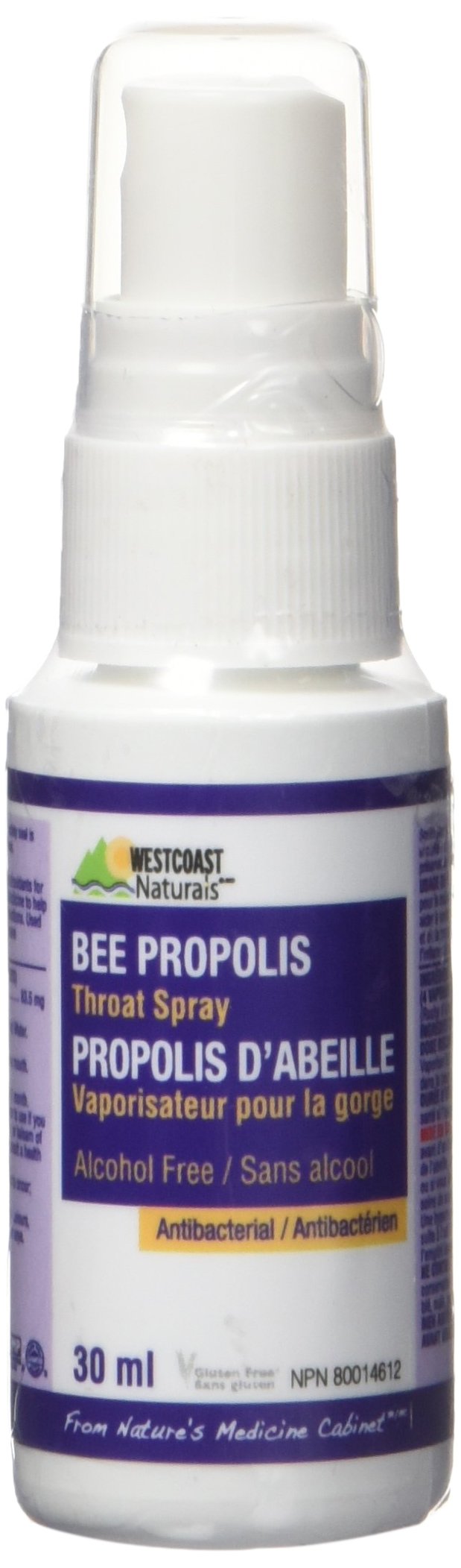 WESTCOAST NATURALS Bee Propolis Throat Spray, Traditionally Helped to Relief Sore Throat, Alcohol Free, Immunity Health, 30ml 30 milliliter