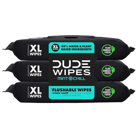 DUDE Wipes Flushable Wipes - 3 Pack, 144 Count - Mint Chill Extra-Large with Vitamin-E, Aloe, Eucalyptus & Tea Tree Oils - Septic and Sewer Safe