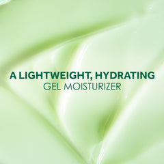 Aloe Extract & Vitamin B3 Gel Face Moisturizer For Fresh and Luminous Skin, 3.4 oz