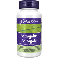 Herbal Select Astragalus 500mg, 60 Count