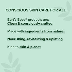 Burt’s Bees 100% Natural Lipstick, Lily Lake - 1 Tube