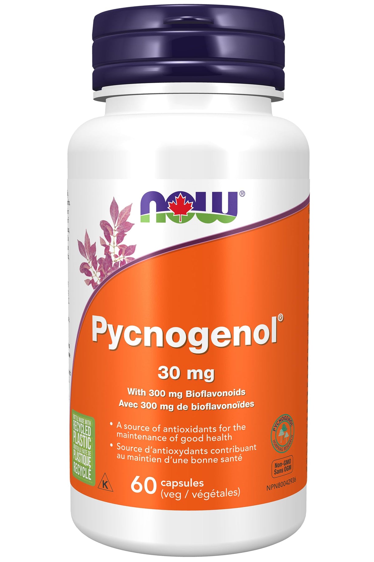 NOW Supplements, Pycnogenol 30 mg (a Unique Combination of Proanthocyanidins from French Maritime Pine) with 300 mg Bioflavonoids, 60 Veg Capsules