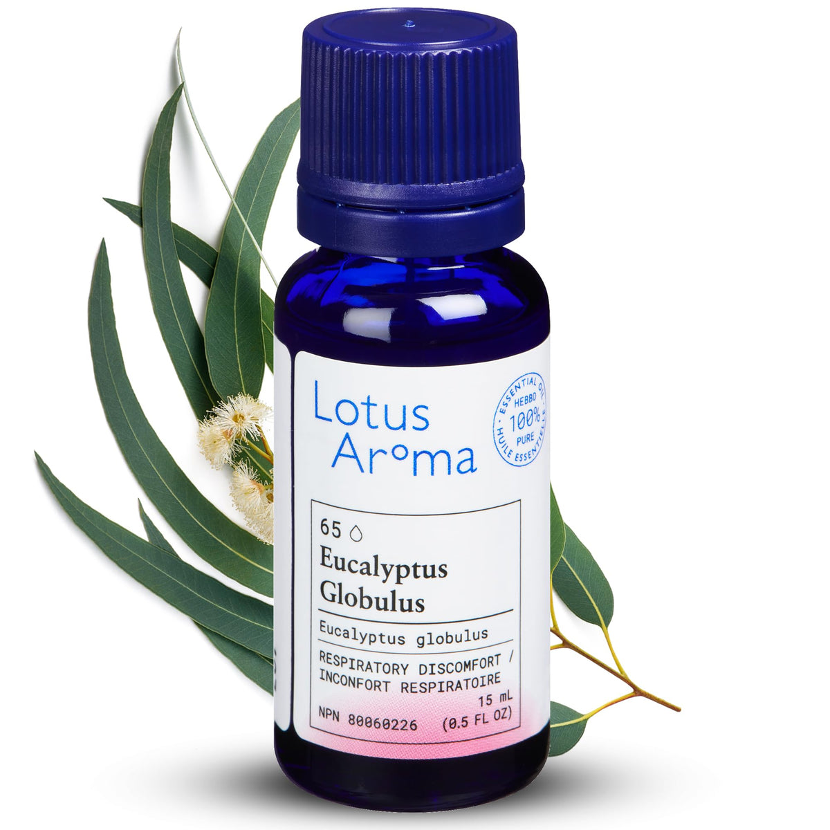 Premium Grade Eucalyptus Globulus Essential Oil, 100% Pure & Undiluted, Relaxing Scent, Natural Essential Oil For Humidifier, Aromatherapy Oil, Fragrance Oil - Huile Essentielle 0.5oz (15ml)
