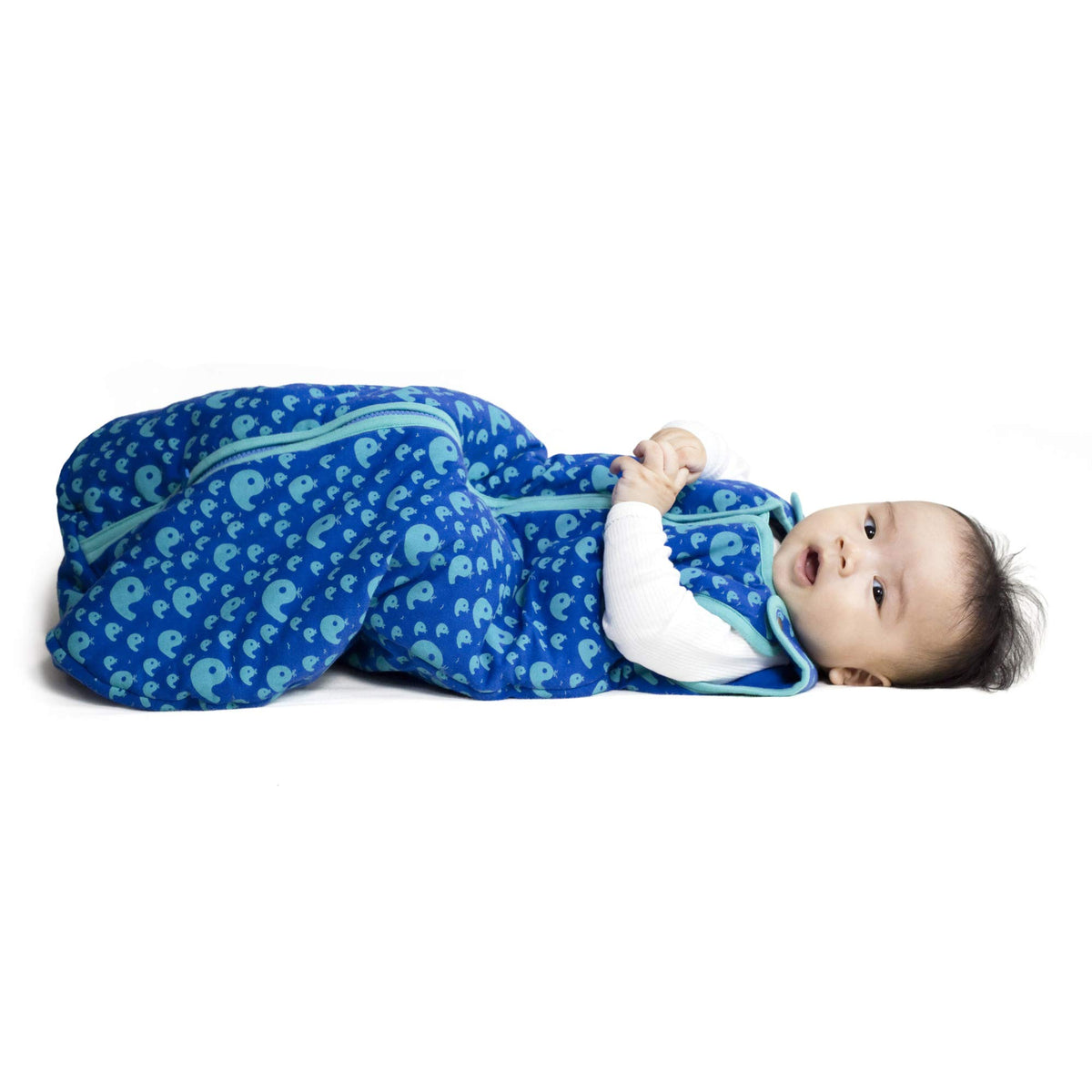 baby deedee Sleep Nest Baby Sleeping Bag, Playful Whales, Small (0-6-Month)
