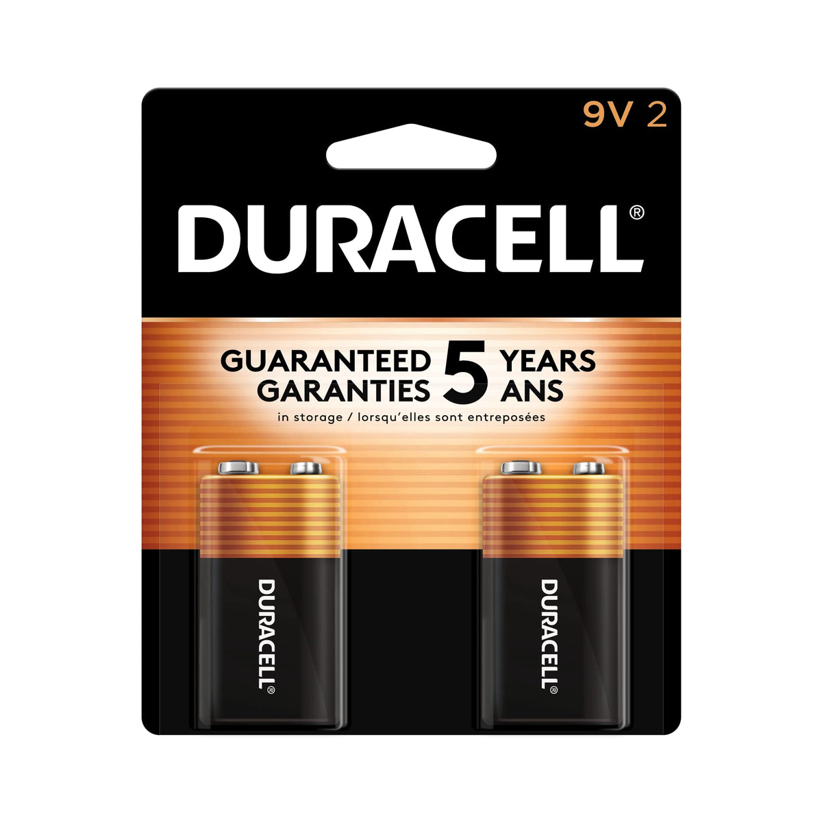 Duracell Coppertop 9V Battery, 2 Count (Pack of 1), Long-lasting All-Purpose Alkaline 9V Batteries for Household and Office Devices