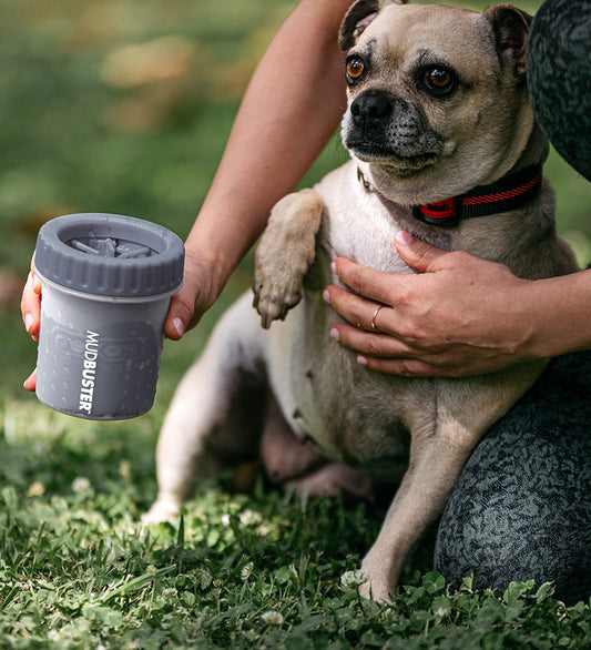 Dexas MudBuster Portable Dog Paw Cleaner, Premium Quality Small Light Gray Pet Accessory