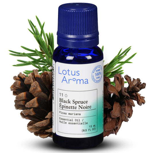 Lotus Aroma Premium Grade Black Spruce Essential Oil, 100% Pure & Undiluted, Relaxing Scent, Natural Essential Oil For Humidifier, Aromatherapy Oil, Fragrance Oil - Huile Essentielle 0.5oz (15ml)
