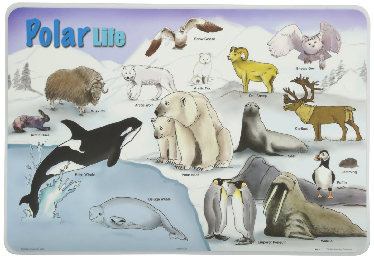 Painless Learning PLACEMATS-Polar Life-Placemat