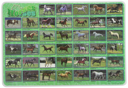 Painless Learning PLACEMATS-Popular Horses-Placemat