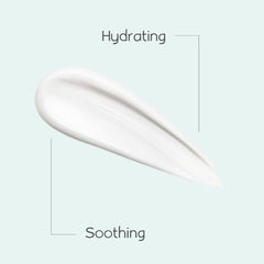 Aleva Naturals Baby Lotion Face + Body Moisturizer - For Sensitive Dry Skin, Face and Body Lotion, Made with Natural and Organic Ingredients, for Babies and Toddlers, Mega Pack- 6x240ml = 1.440L, White