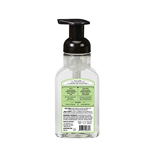J.R. Watkins Foaming Hand Soap For Bathroom or Kitchen, Scented, USA Made And Cruelty Free, 266 Milliliters