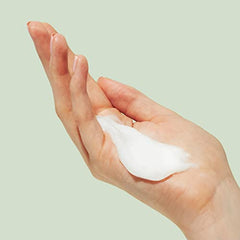 Herbal Essences bio: renew Potent Aloe + Eucalyptus Conditioner Scalp Balance, 400 Milliliters