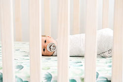 Copper Pearl Premium Fitted Knit Crib Sheet/Toddler Sheet"Desert", 0.60 gram (OJ-EYY1-Q58S)