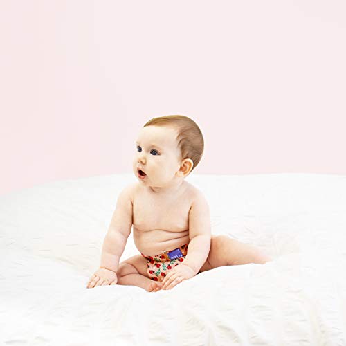Bambino Mio, mioduo Two-Piece Cloth Diaper, Loveable Ladybug, Size 1 (<9kgs)