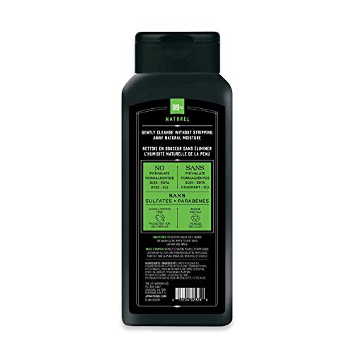 J.R. Watkins Wintergreen and Spruce Natural Daily Moisturizing Body Wash, Hydrating Shower Gel for Men and Women, Free of SLS, USA Made and Cruelty Free, 532 Milliliters