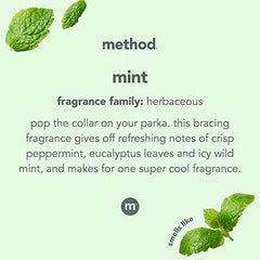 Method Glass + Surface Cleaner, Mint, 828 ml - Zecoya