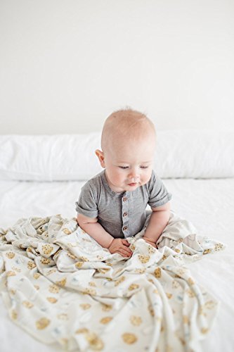 Copper Pearl Large Premium Knit Baby Swaddle Receiving Blanket"Chip", 9.6 Ounces