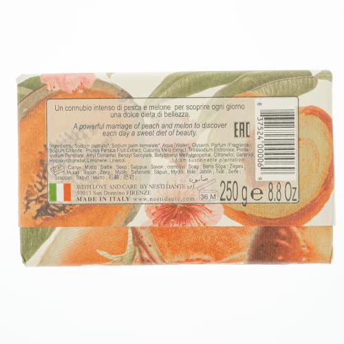 Nesti Dante Il Frutteto Italian Nourishing and Energizing Bar Soap, Peach and Melon, 250 Grams